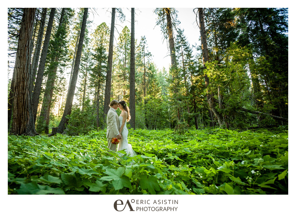 Bride and groom share a private moment in the lush forest at Skylandia Park Tahoe City